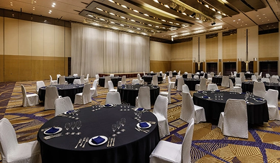 Ballroom| Grand Mercure Sapporo Odori Park