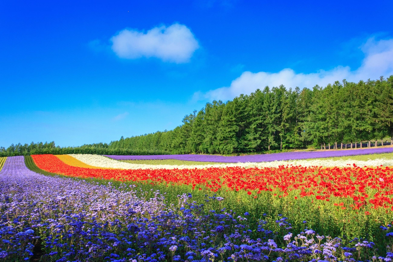 メインビジュアルイメージ｜グランドメルキュール札幌大通公園