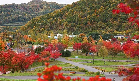 フォトギャラリー|グランドメルキュール札幌大通公園