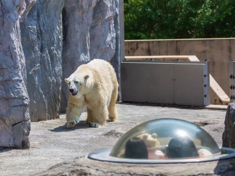 Veltra Ranking| Grand Mercure Sapporo Odori Park